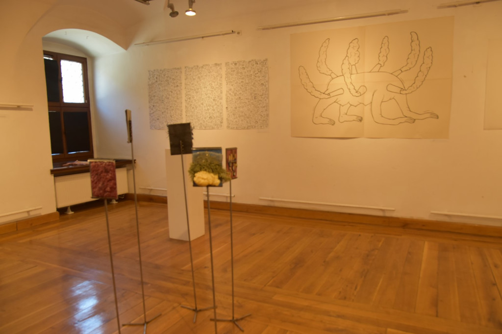 Wystawa studentów z wrocławskiej Akademii Sztuk Pięknych dotarła do Brzegu