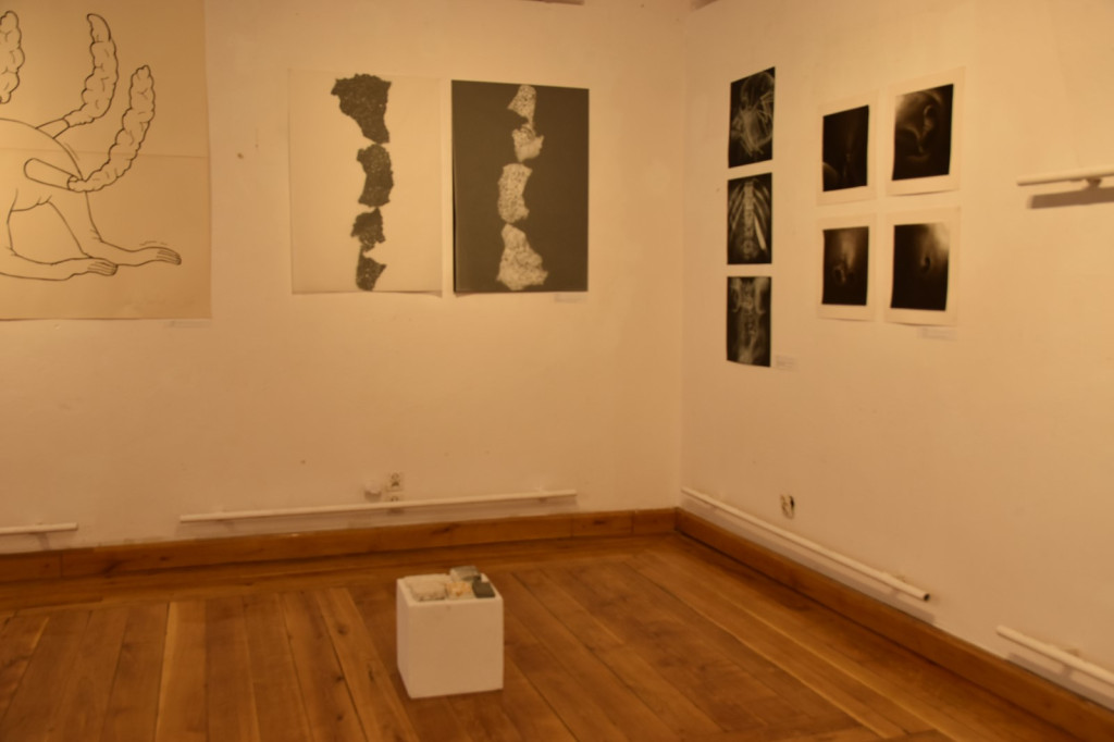 Wystawa studentów z wrocławskiej Akademii Sztuk Pięknych dotarła do Brzegu