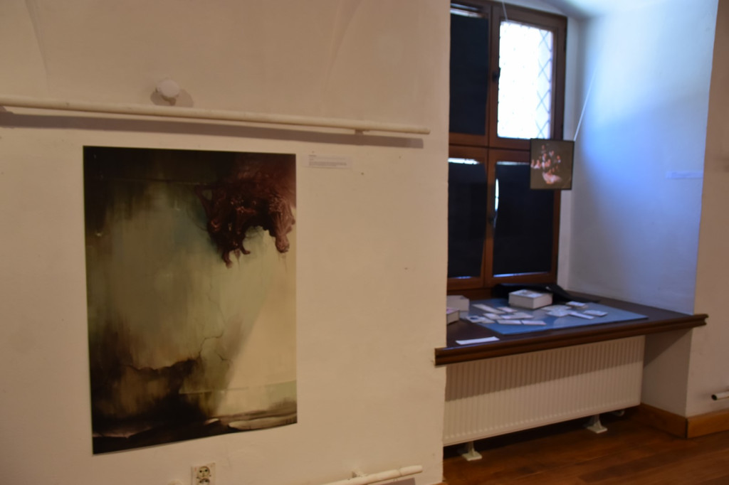 Wystawa studentów z wrocławskiej Akademii Sztuk Pięknych dotarła do Brzegu