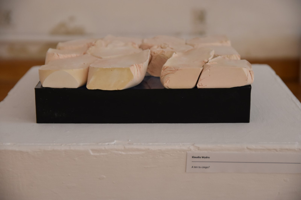 Wystawa studentów z wrocławskiej Akademii Sztuk Pięknych dotarła do Brzegu