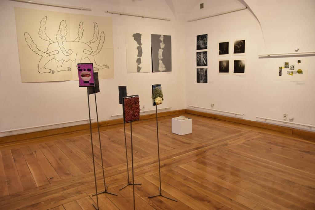 Wystawa studentów z wrocławskiej Akademii Sztuk Pięknych dotarła do Brzegu