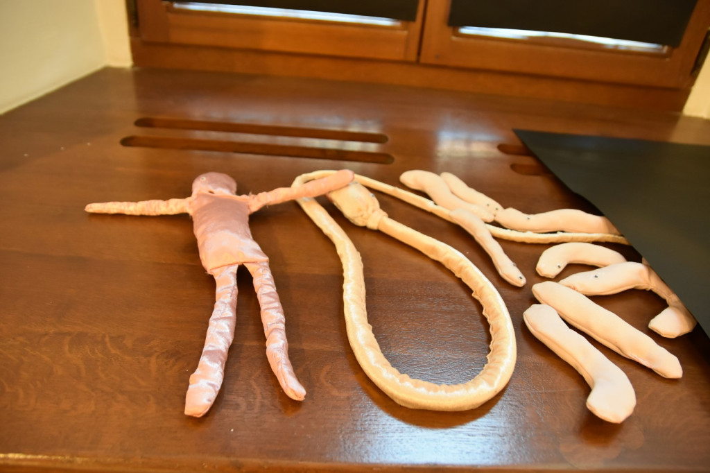 Wystawa studentów z wrocławskiej Akademii Sztuk Pięknych dotarła do Brzegu