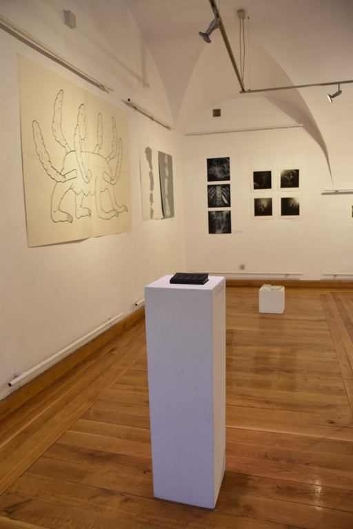 Wystawa studentów z wrocławskiej Akademii Sztuk Pięknych dotarła do Brzegu