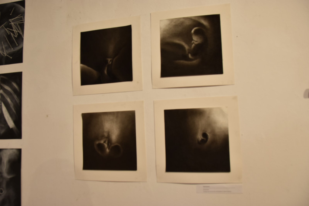 Wystawa studentów z wrocławskiej Akademii Sztuk Pięknych dotarła do Brzegu