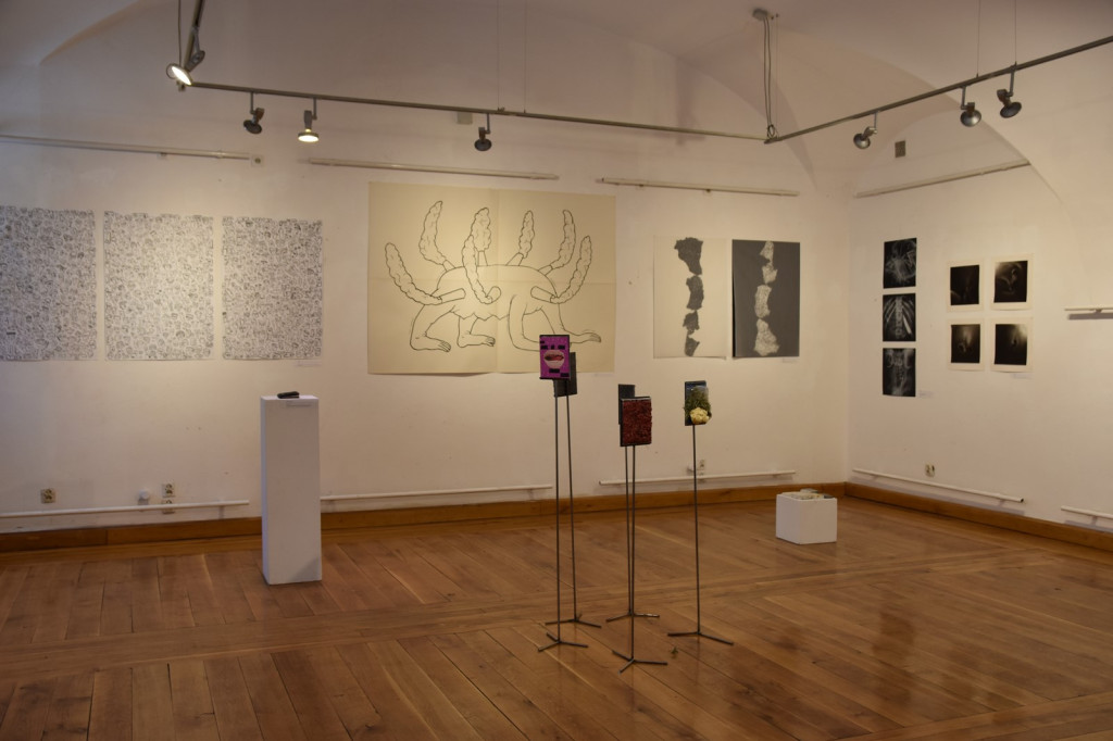 Wystawa studentów z wrocławskiej Akademii Sztuk Pięknych dotarła do Brzegu