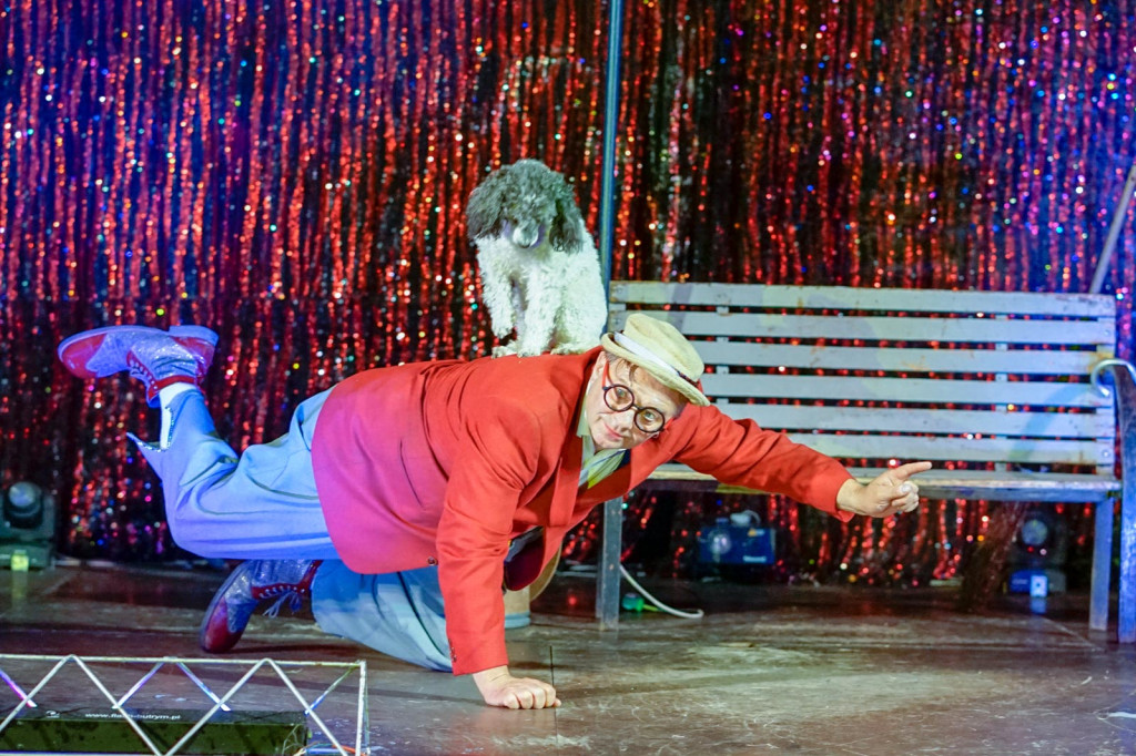 Występ Artystów z Cyrku Juremix [fotorelacja]