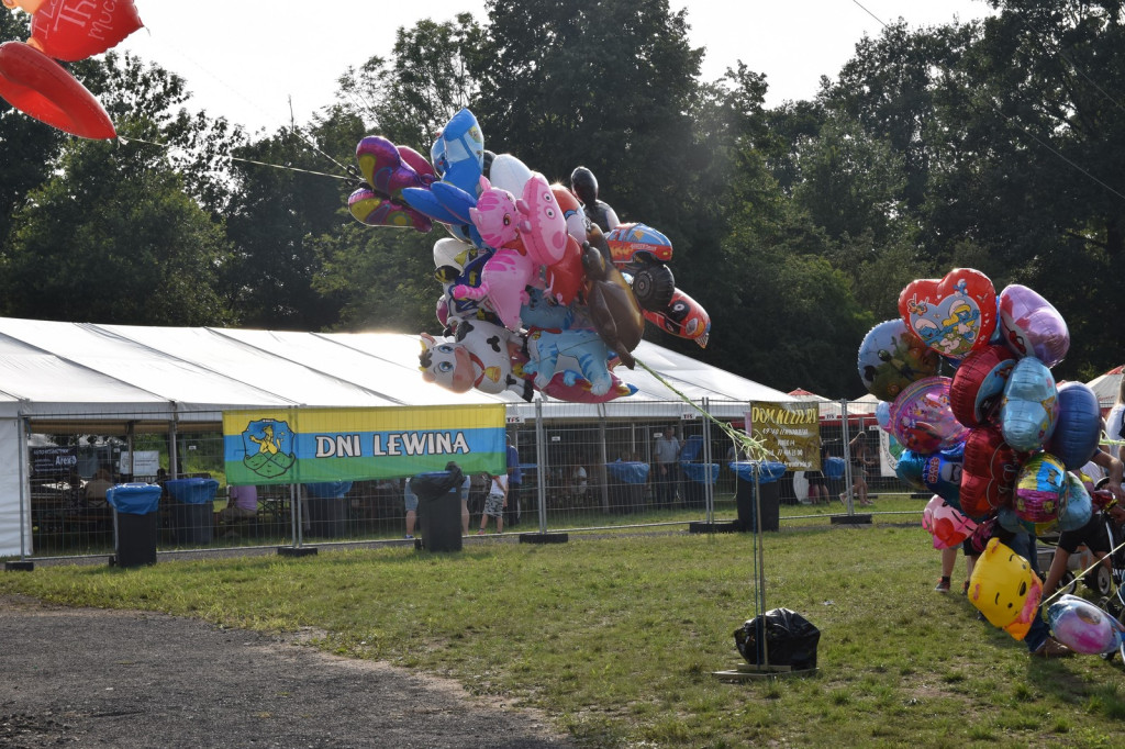 Dni Lewina Brzeskiego 2018 - Pierwszy dzień koncertów na Wzgórzu Wodniaków