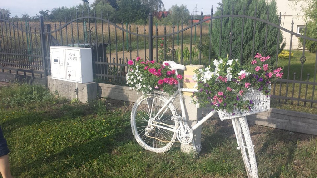 Aktywna praca na rzecz Żłobizny. Podsumowanie działalności Stowarzyszenia 