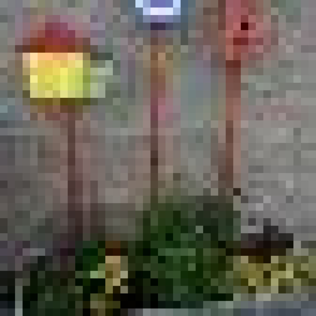 Aktywna praca na rzecz Żłobizny. Podsumowanie działalności Stowarzyszenia 