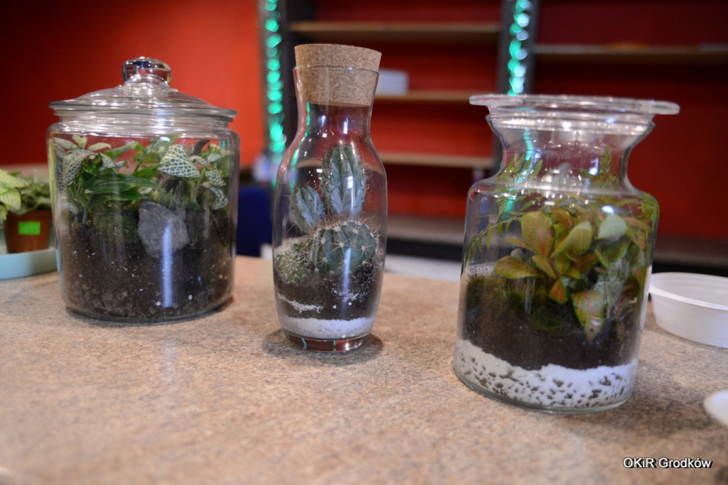 OKiR Grodków - podsumowanie pierwszej części wakacji i zaproszenie na kolejne atrakcje