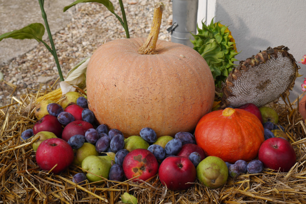 Plon niesiemy, plon w Gierszowicach [fotorelacja]