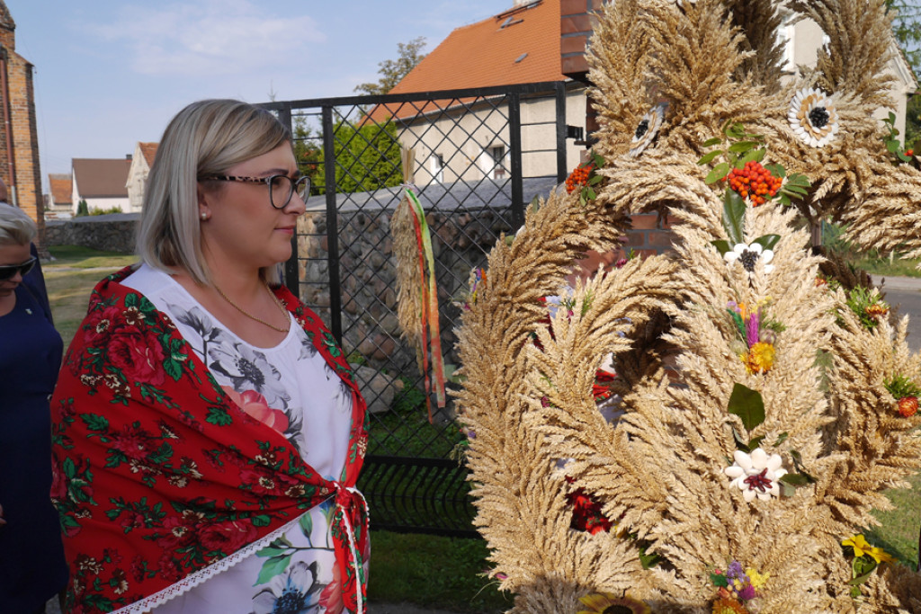 Plon niesiemy, plon w Gierszowicach [fotorelacja]