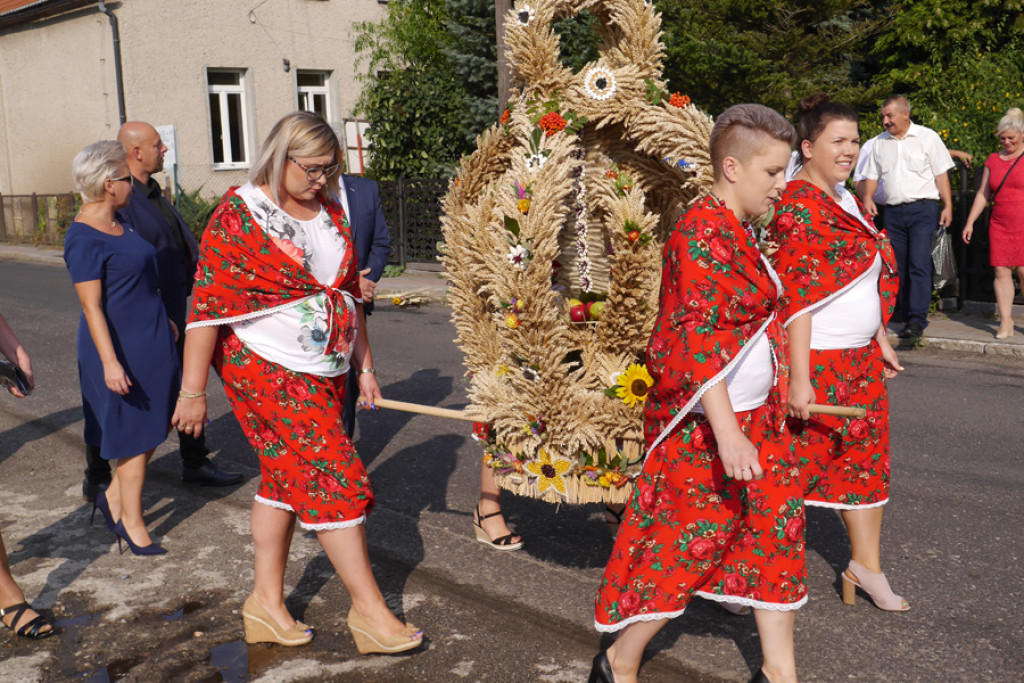 Plon niesiemy, plon w Gierszowicach [fotorelacja]