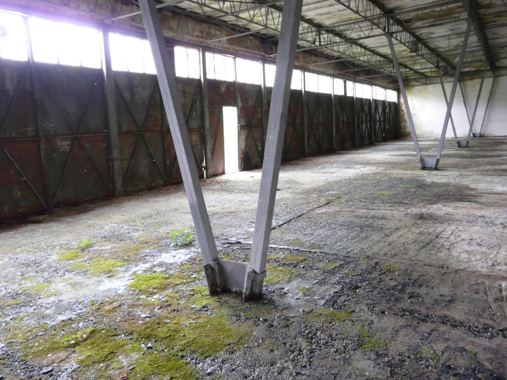 Eldorado na Zielonce (cz. 1)