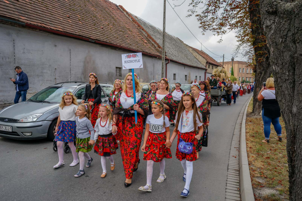 Dożynki Gminne 2018 w Grodkowie [fotorelacja]