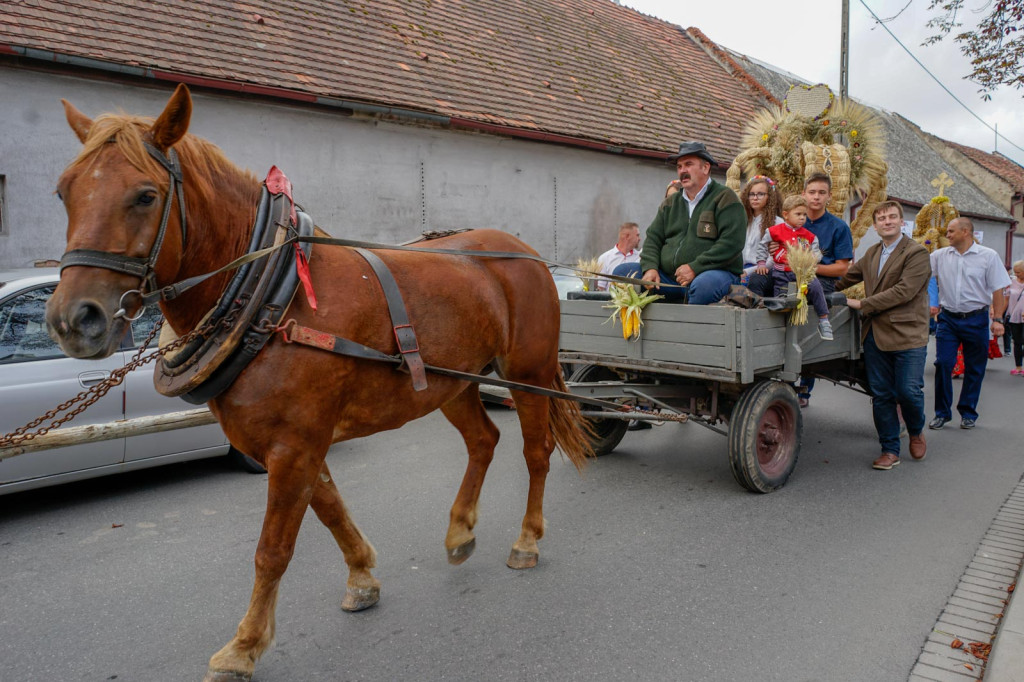 Dożynki Gminne 2018 w Grodkowie [fotorelacja]