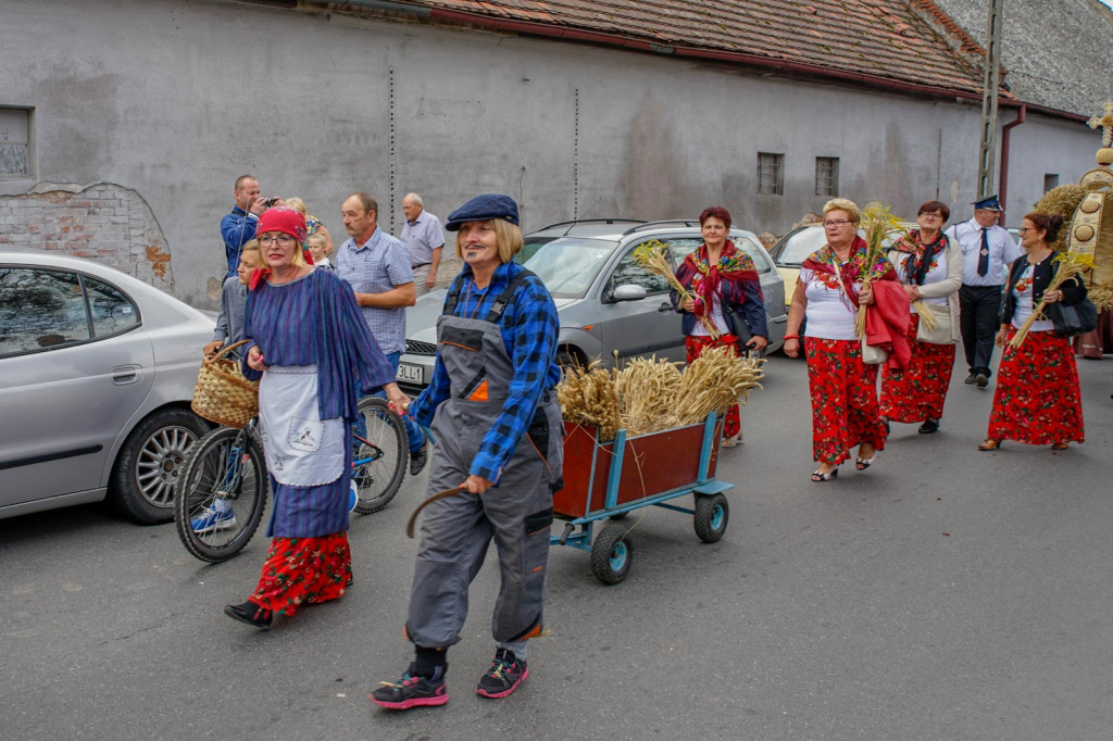 Dożynki Gminne 2018 w Grodkowie [fotorelacja]