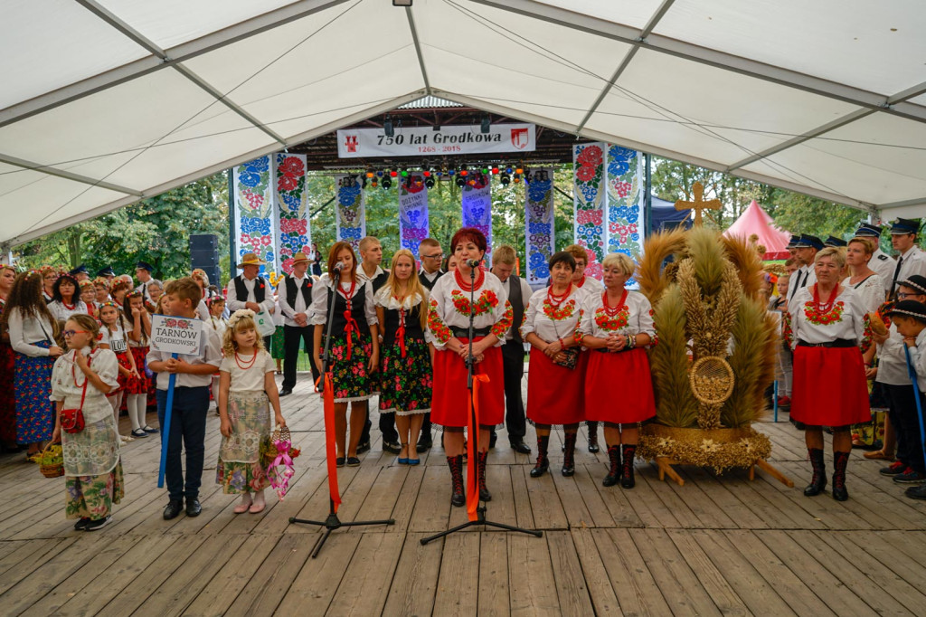Dożynki Gminne 2018 w Grodkowie [fotorelacja]