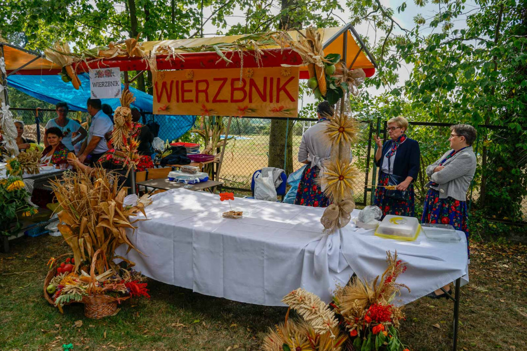 Dożynki Gminne 2018 w Grodkowie [fotorelacja]