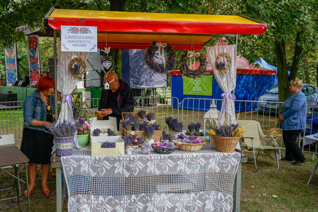 Dożynki Gminne 2018 w Grodkowie [fotorelacja]