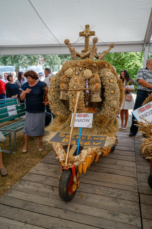 Dożynki Gminne 2018 w Grodkowie [fotorelacja]