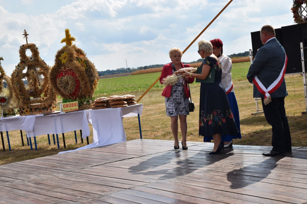Dożynki Gminy Olszanka w Obórkach [fotorelacja]