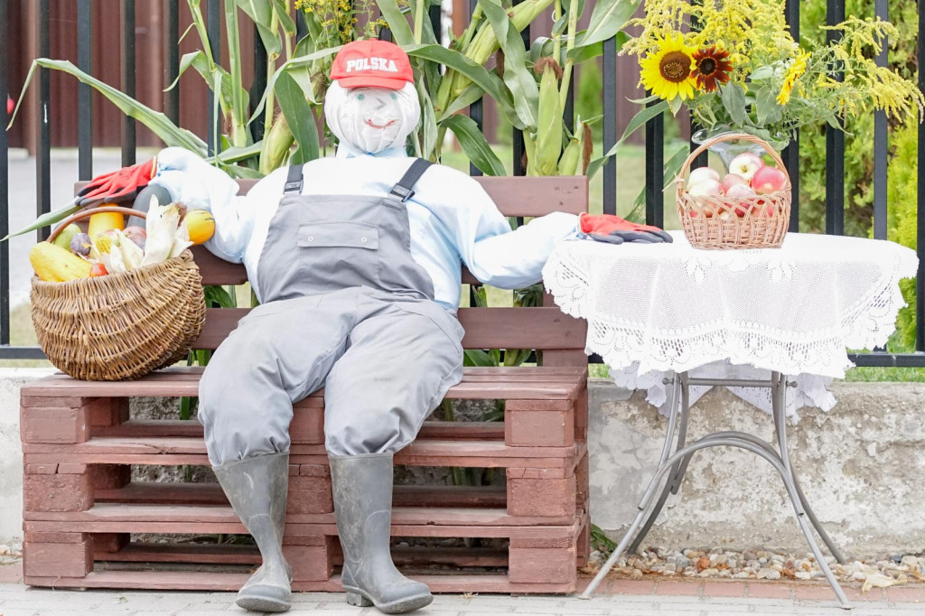 Święto plonów w Brzezinie. Najpiękniejszy wieniec dożynkowy w Gminie Skarbimierz z Kopanie