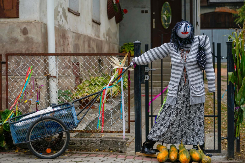 Święto plonów w Brzezinie. Najpiękniejszy wieniec dożynkowy w Gminie Skarbimierz z Kopanie