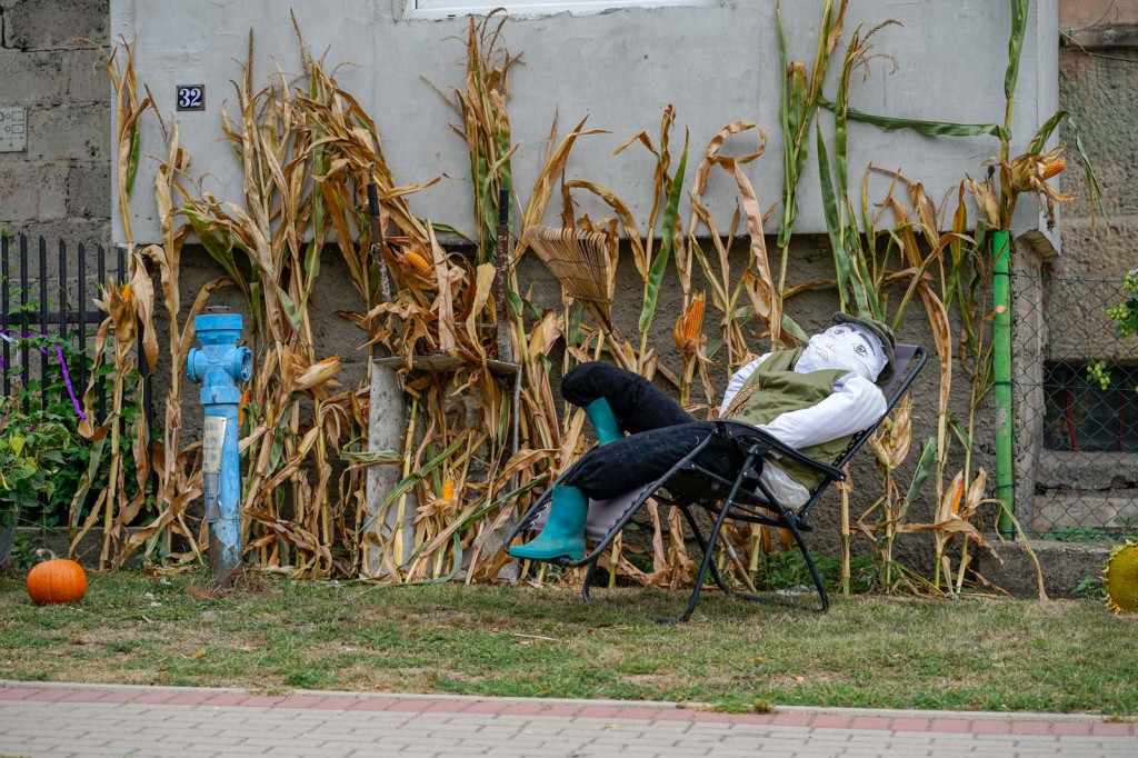Święto plonów w Brzezinie. Najpiękniejszy wieniec dożynkowy w Gminie Skarbimierz z Kopanie