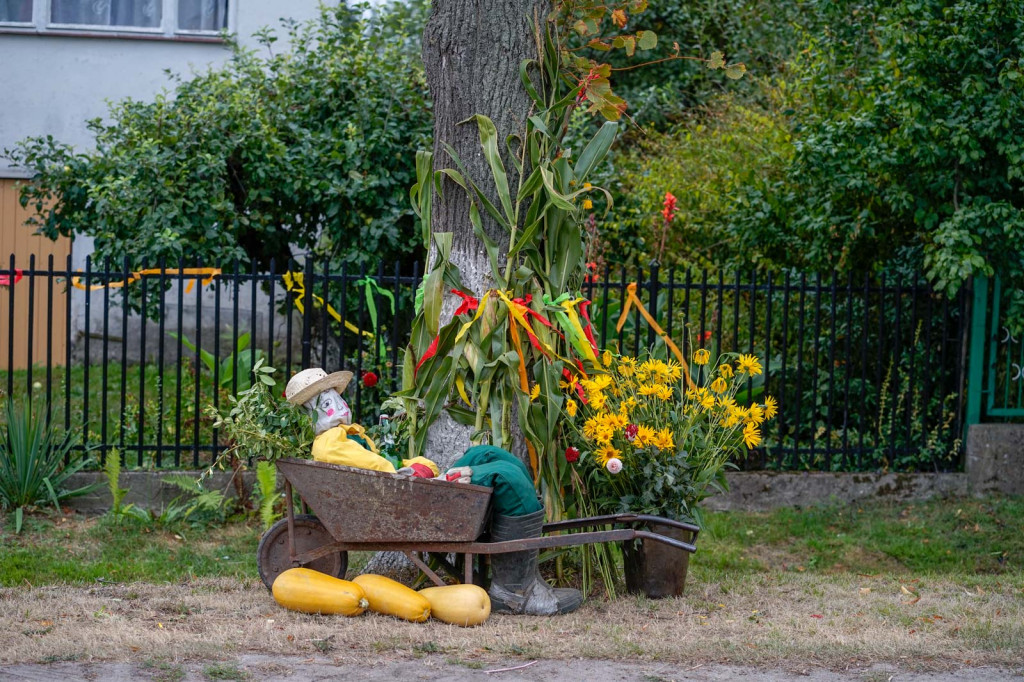 Święto plonów w Brzezinie. Najpiękniejszy wieniec dożynkowy w Gminie Skarbimierz z Kopanie