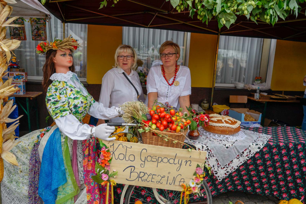 Święto plonów w Brzezinie. Najpiękniejszy wieniec dożynkowy w Gminie Skarbimierz z Kopanie