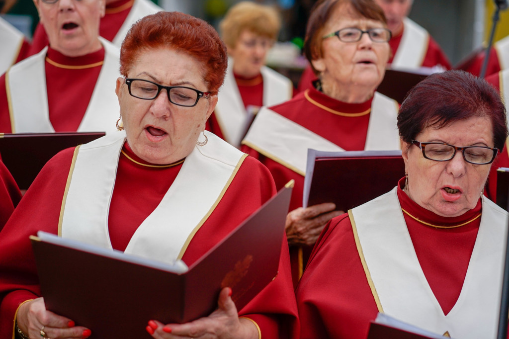 Święto plonów w Brzezinie. Najpiękniejszy wieniec dożynkowy w Gminie Skarbimierz z Kopanie