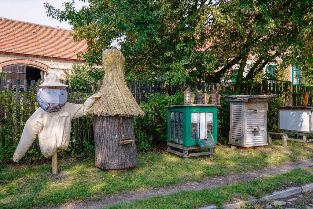 Dożynki w gminie Lewin Brzeski. Najpiękniejsza korona dożynkowa z Skorogoszczy