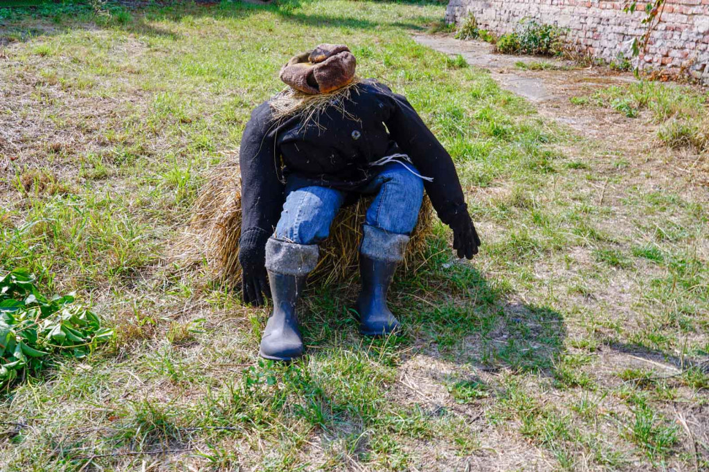 Dożynki w gminie Lewin Brzeski. Najpiękniejsza korona dożynkowa z Skorogoszczy