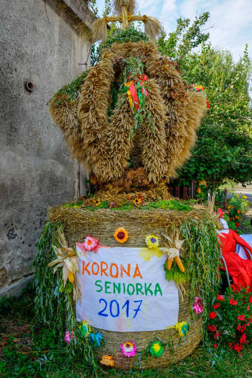 Dożynki w gminie Lewin Brzeski. Najpiękniejsza korona dożynkowa z Skorogoszczy