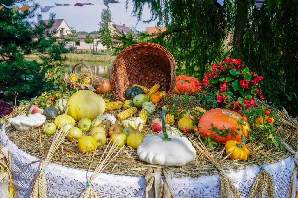 Dożynki w gminie Lewin Brzeski. Najpiękniejsza korona dożynkowa z Skorogoszczy