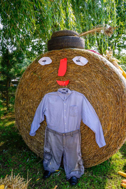 Dożynki w gminie Lewin Brzeski. Najpiękniejsza korona dożynkowa z Skorogoszczy