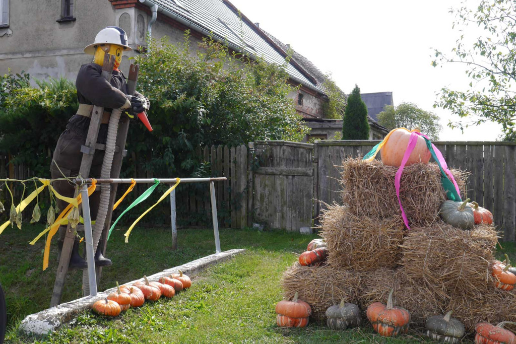 Święto plonów Gminy Lubsza w Czepielowicach