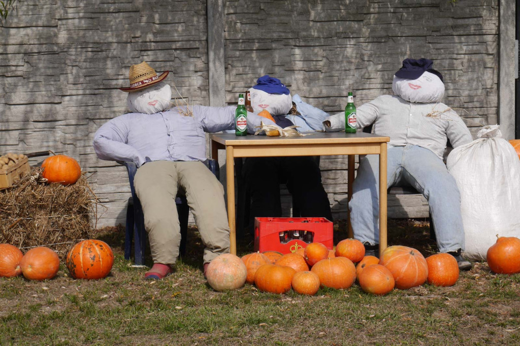Święto plonów Gminy Lubsza w Czepielowicach