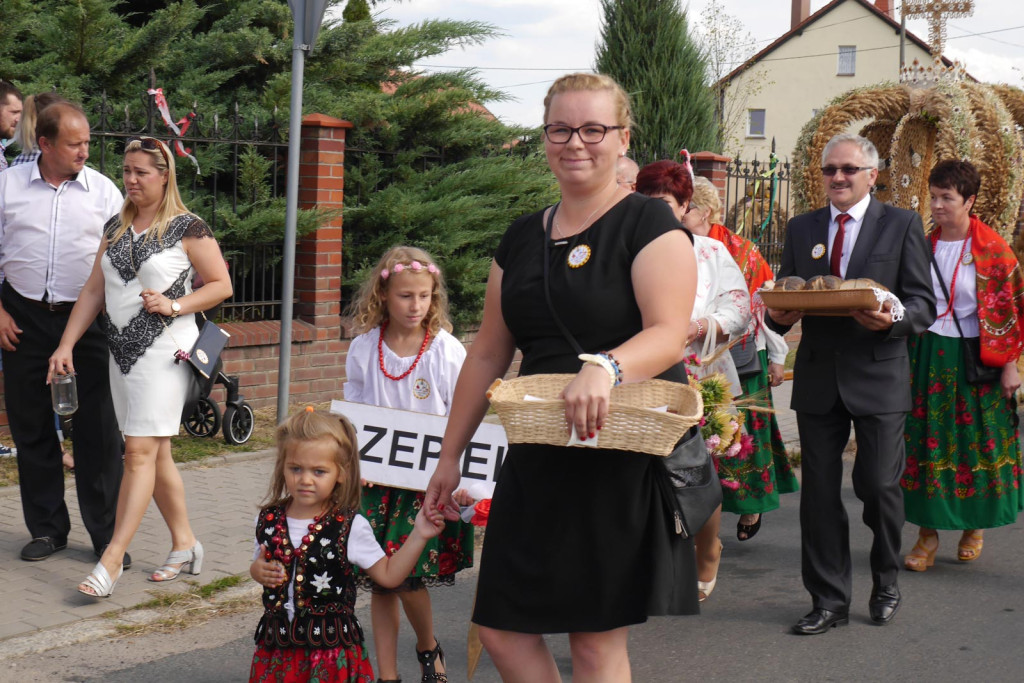 Święto plonów Gminy Lubsza w Czepielowicach
