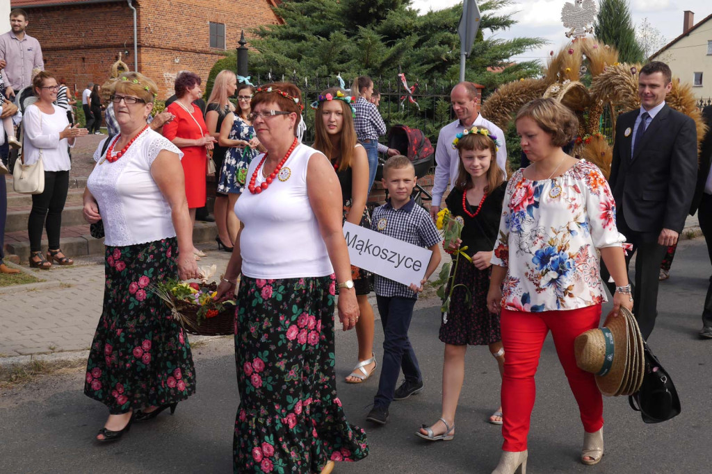 Święto plonów Gminy Lubsza w Czepielowicach