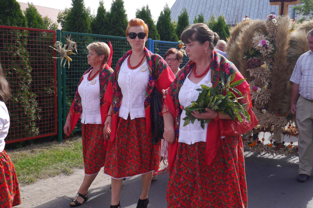 Święto plonów Gminy Lubsza w Czepielowicach