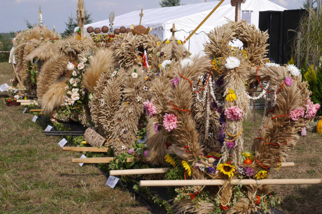 Święto plonów Gminy Lubsza w Czepielowicach