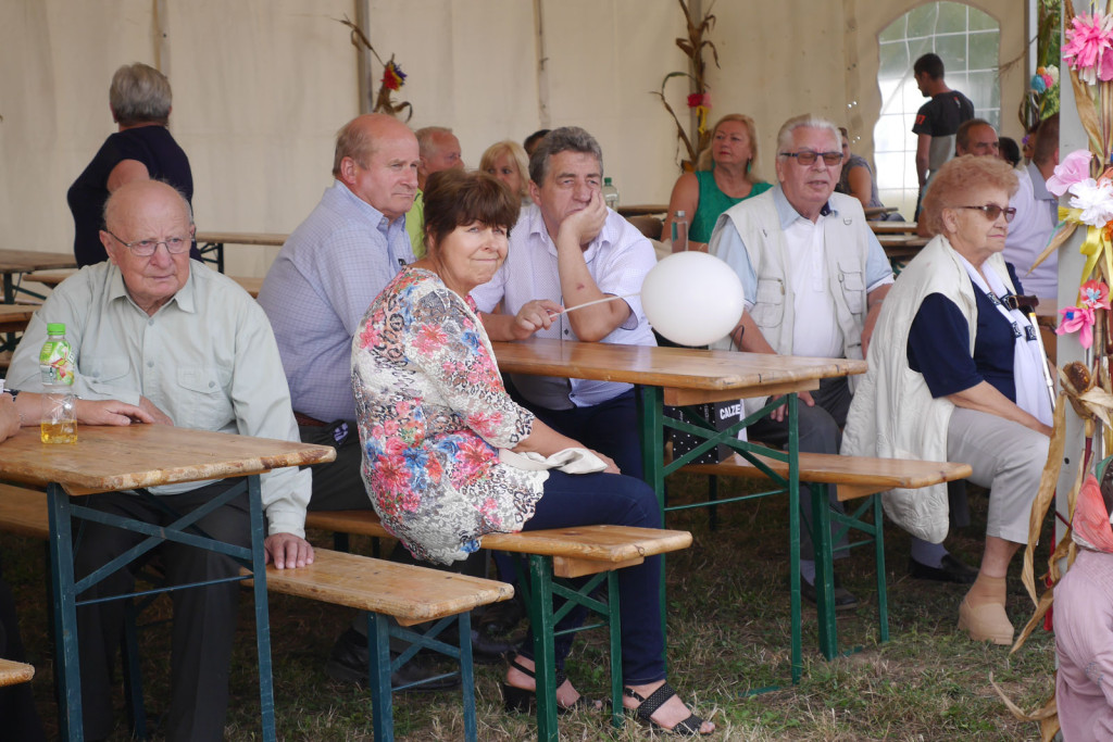 Święto plonów Gminy Lubsza w Czepielowicach