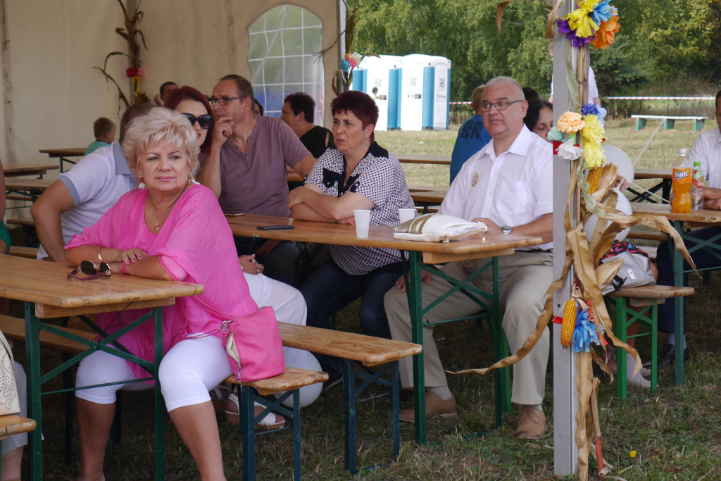 Święto plonów Gminy Lubsza w Czepielowicach