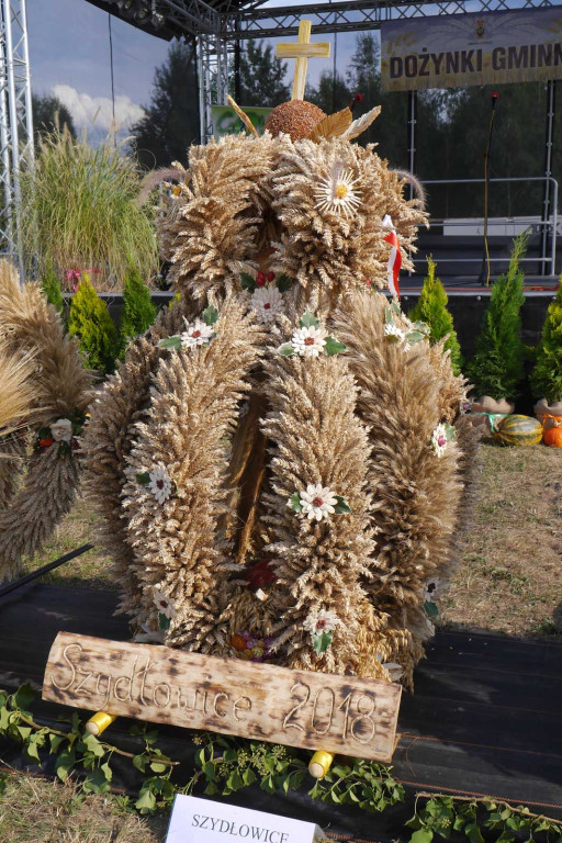 Święto plonów Gminy Lubsza w Czepielowicach