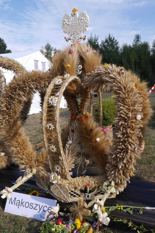 Święto plonów Gminy Lubsza w Czepielowicach