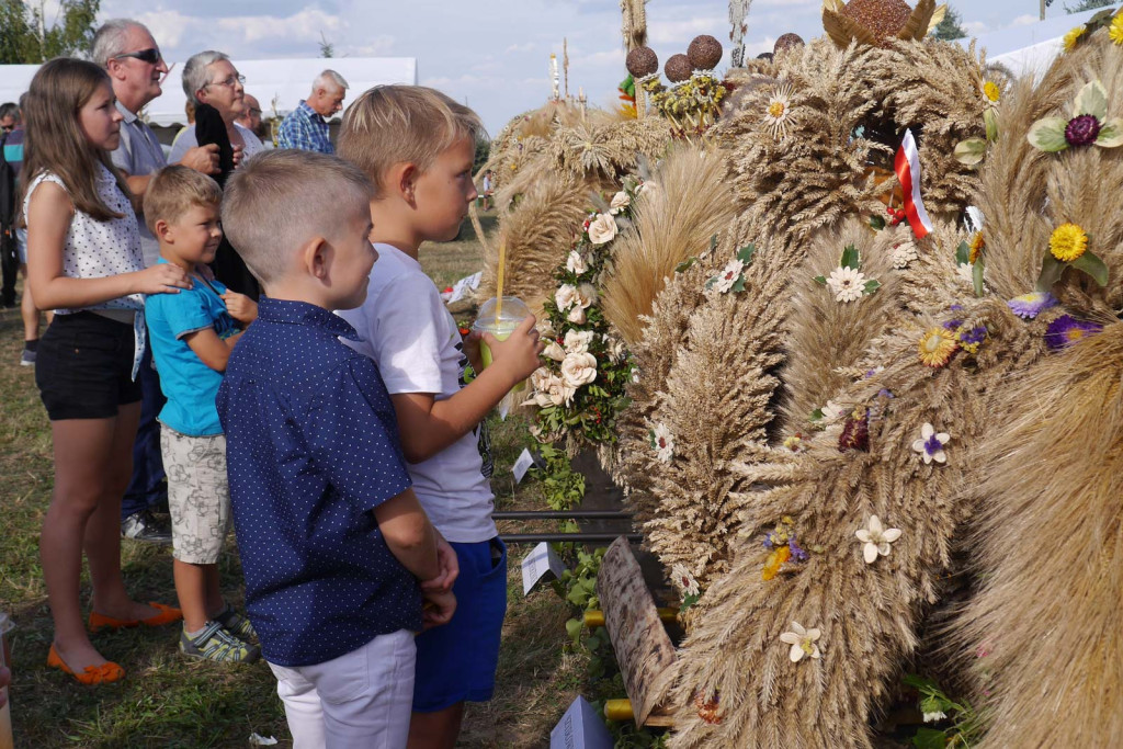 Święto plonów Gminy Lubsza w Czepielowicach