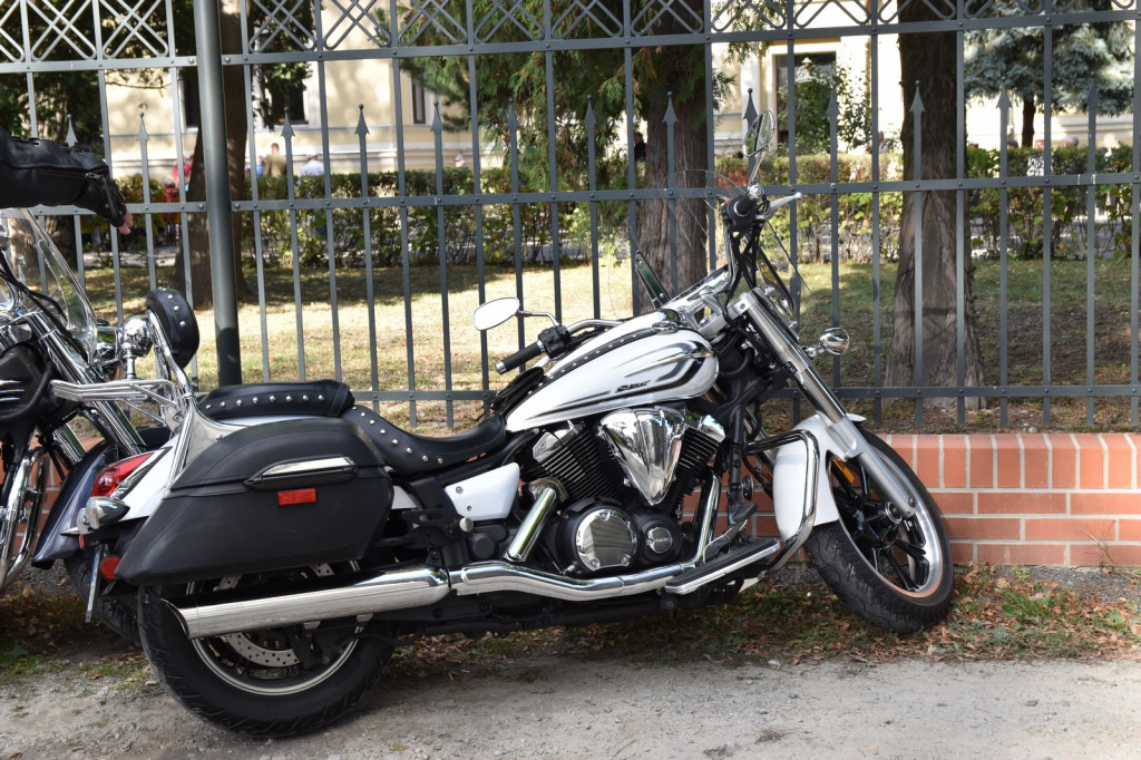 V Brzeska Biesiada Piwna za nami [fotorelacja]