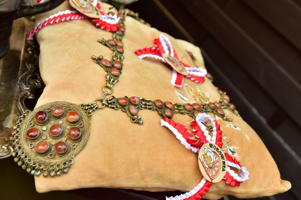 V Brzeska Biesiada Piwna za nami [fotorelacja]